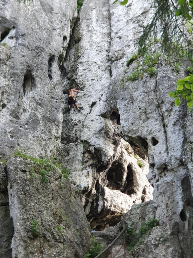 Pokoje Przy Zamku Podzamcze  Exterior foto